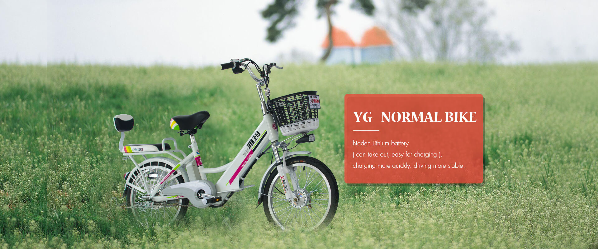 YG Normal Bicycle