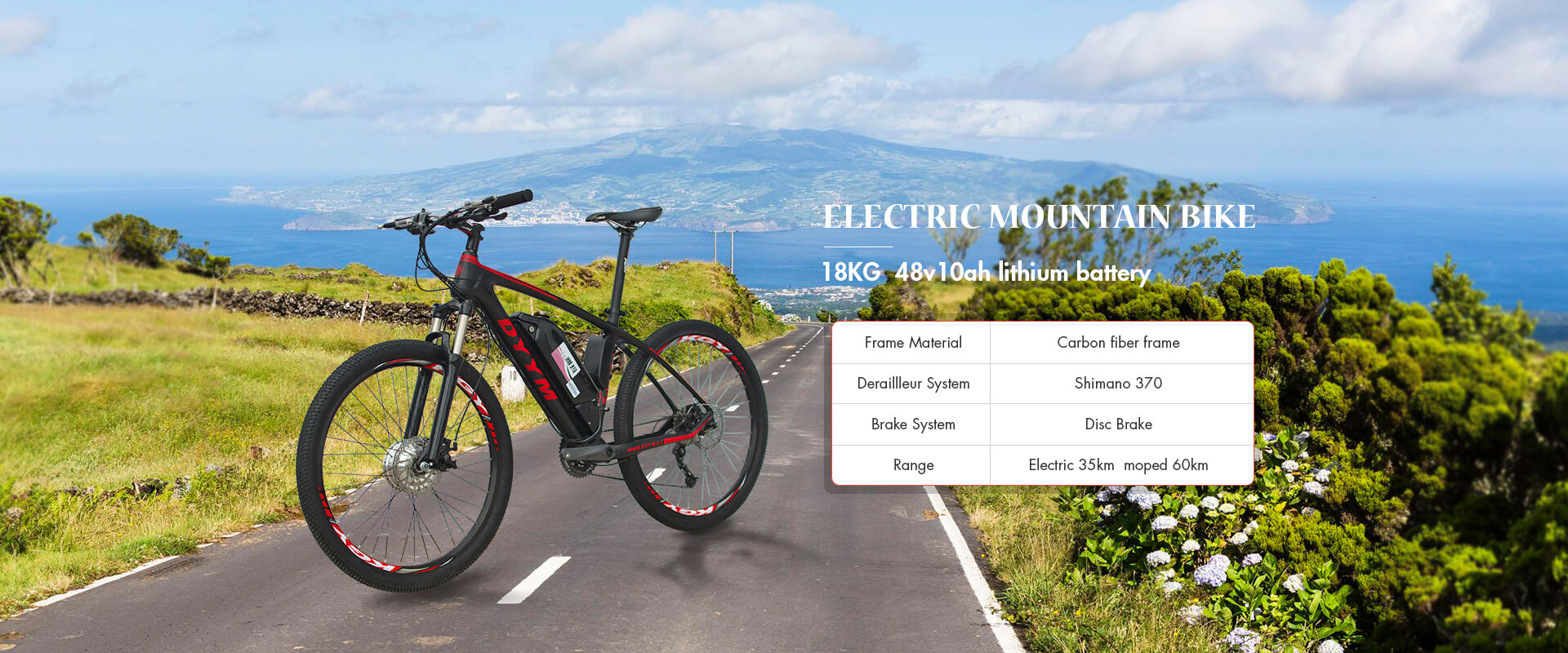 Electric Mountain Bike